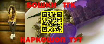 тгк Будённовск