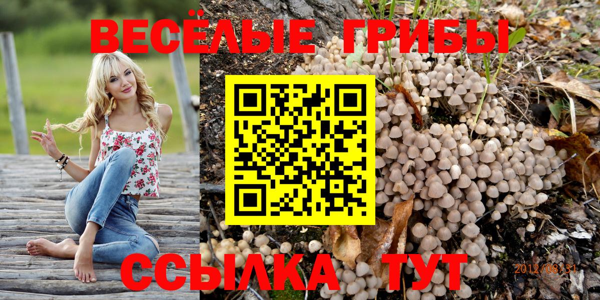 Псилоцибиновые грибы мицелий Первоуральск