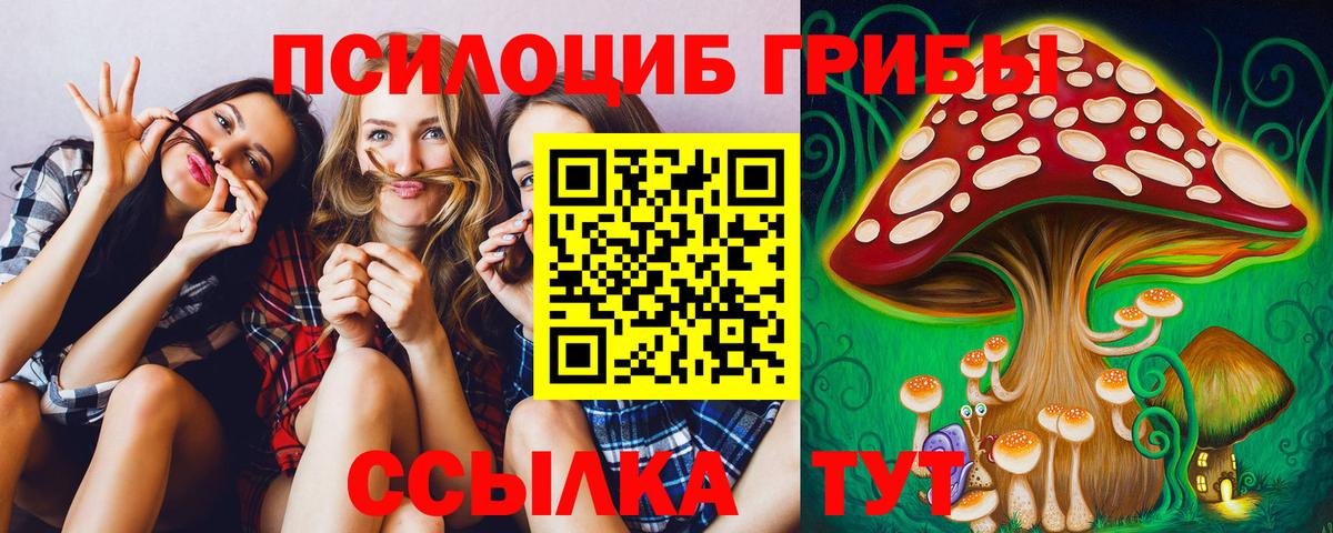 Первоуральск  Псилоцибиновые грибы Cubensis  Вход с VPN 
